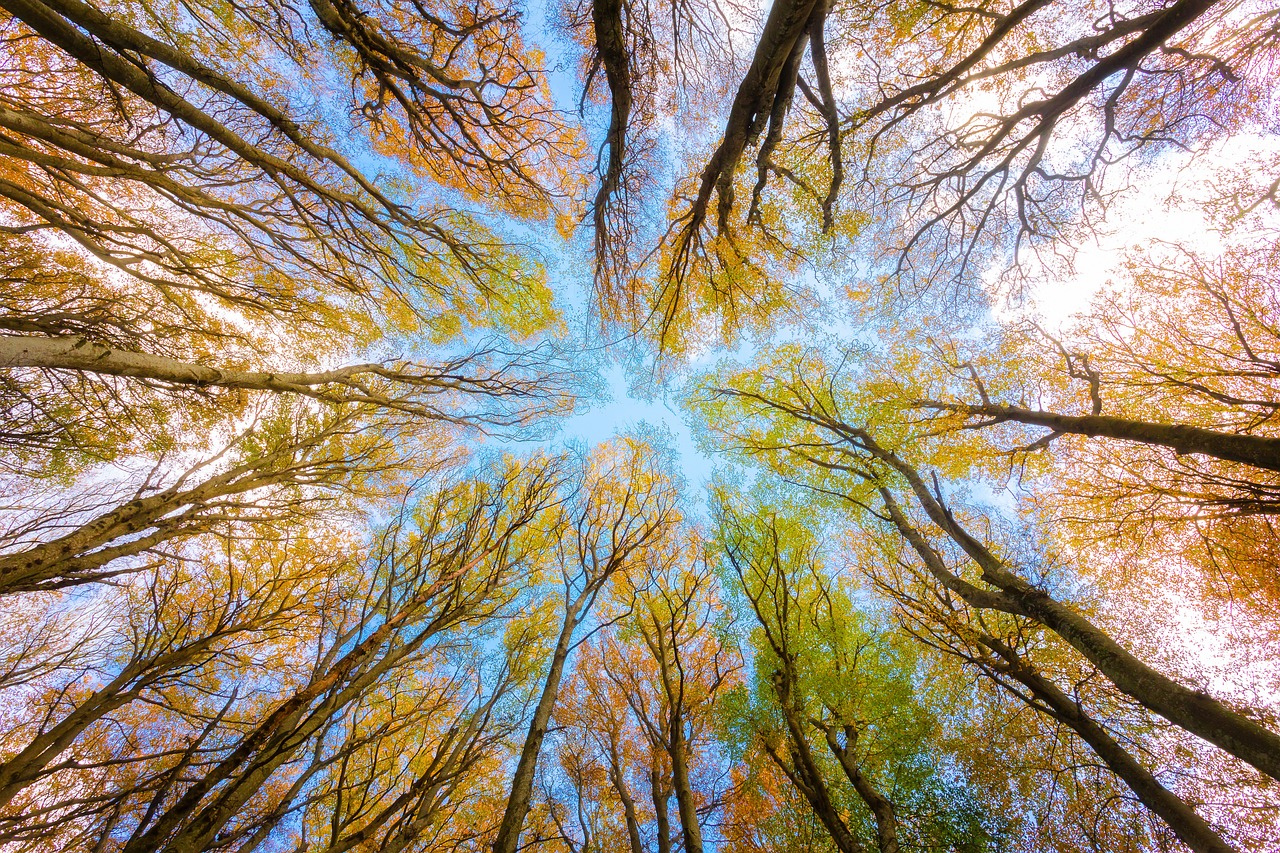 Sustainability